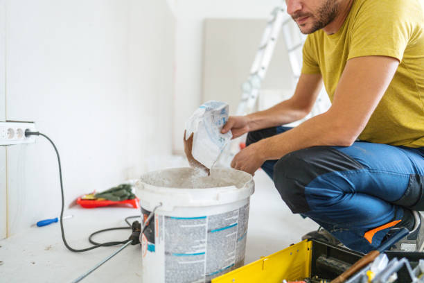 Best Mold Remediation for Rental Properties  in USA