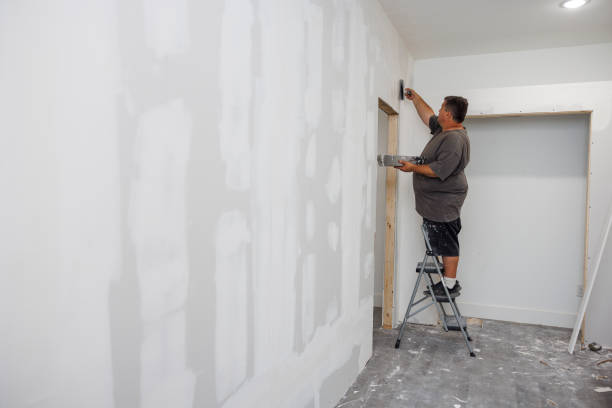 Best Mold Damage Restoration  in USA